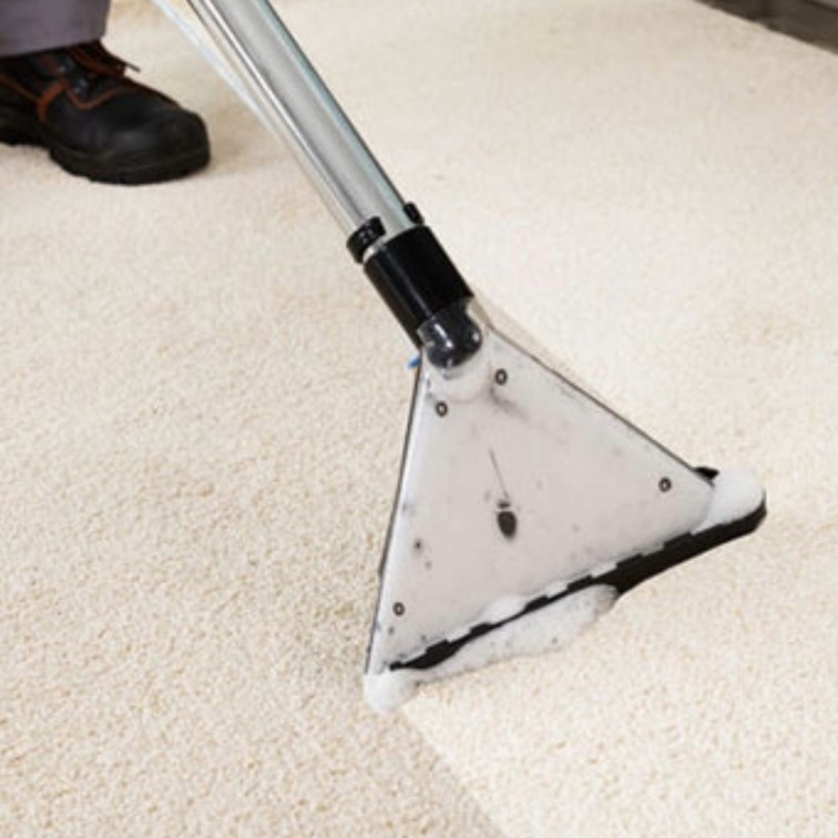 Carpet Flood Damage Restoration