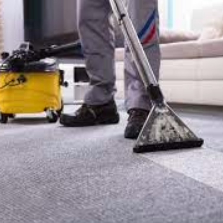 Carpet Steam Cleaning